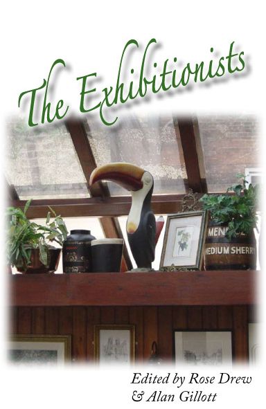 The Exhibitionists Book Cover