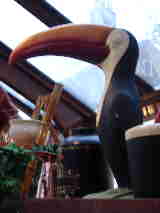 The Guiness Toucan